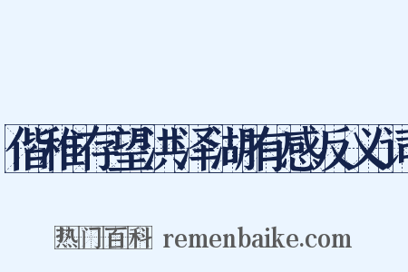偕稚存望洪泽湖有感反义词是什么意思的图片